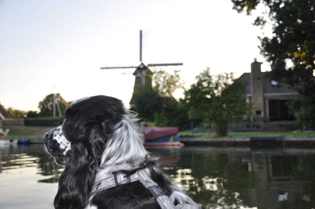Met Happy naar Friesland | Deel 3
